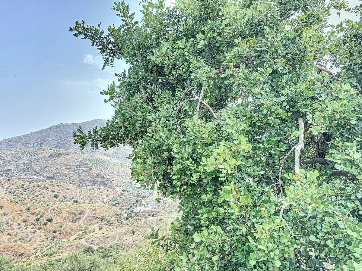 1 Bed Land in Arenas 位于 Arenas — 土地