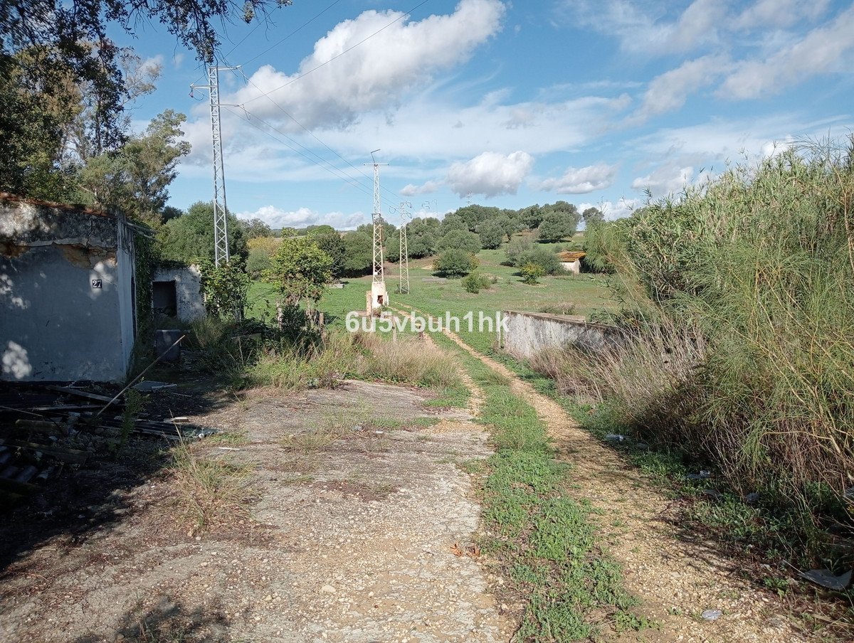 03 photo