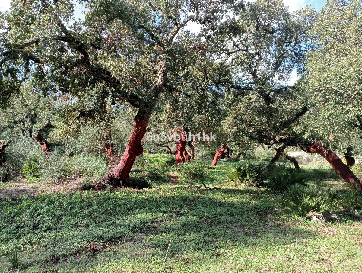 04 photo