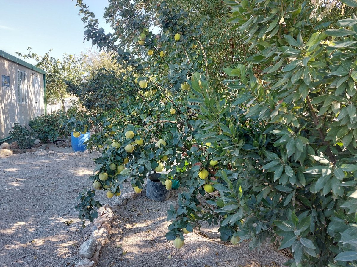 04 photo