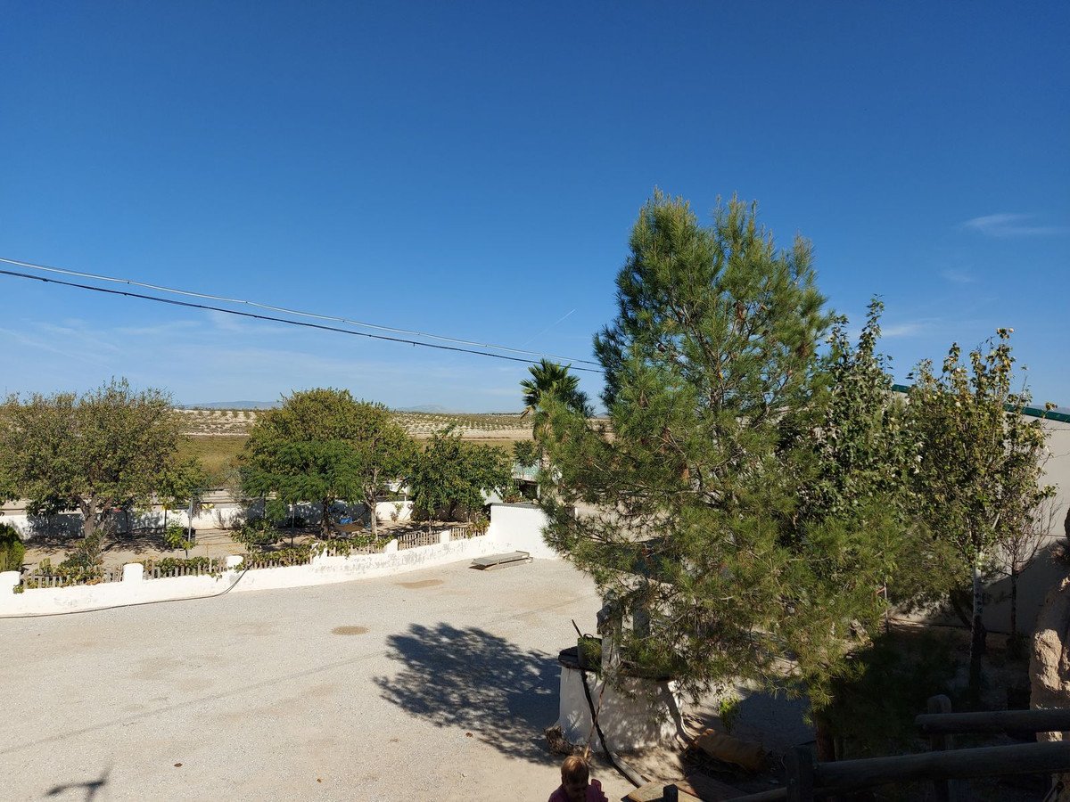 07 photo