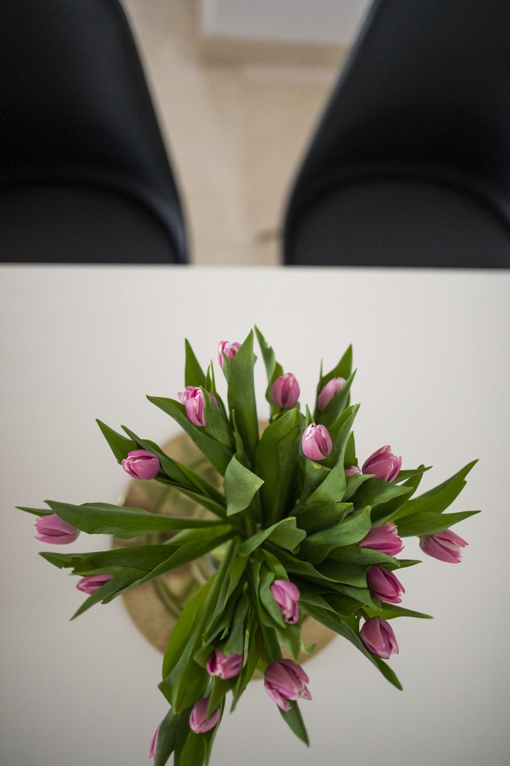 05 photo