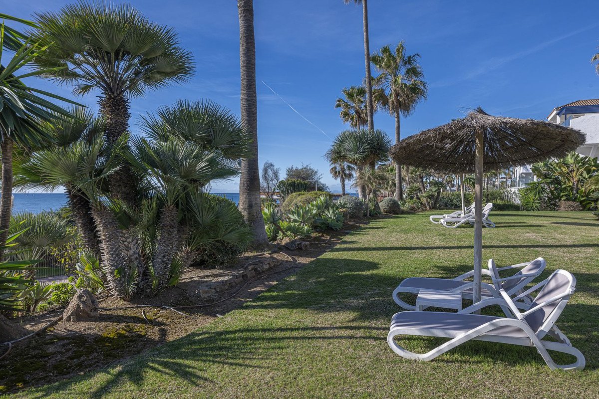 Lush garden with palm trees, lounge chairs, and thatched umbrella overlooking the sea.