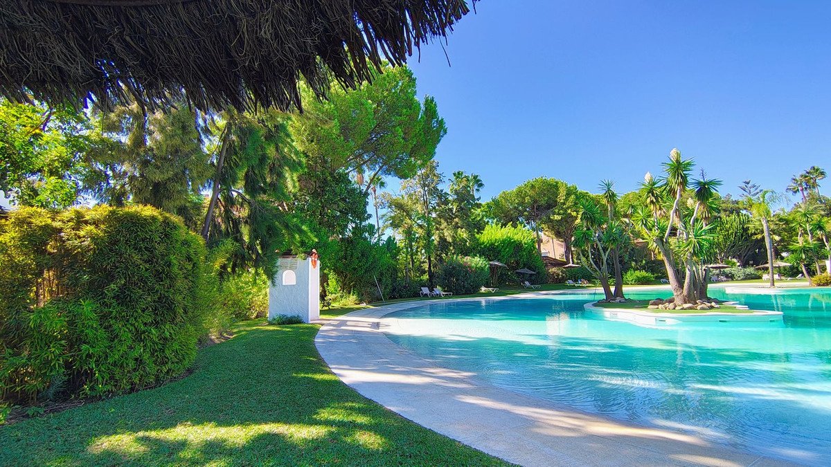 Spacious turquoise resort pool with palm trees and lush greenery under a clear blue sky.