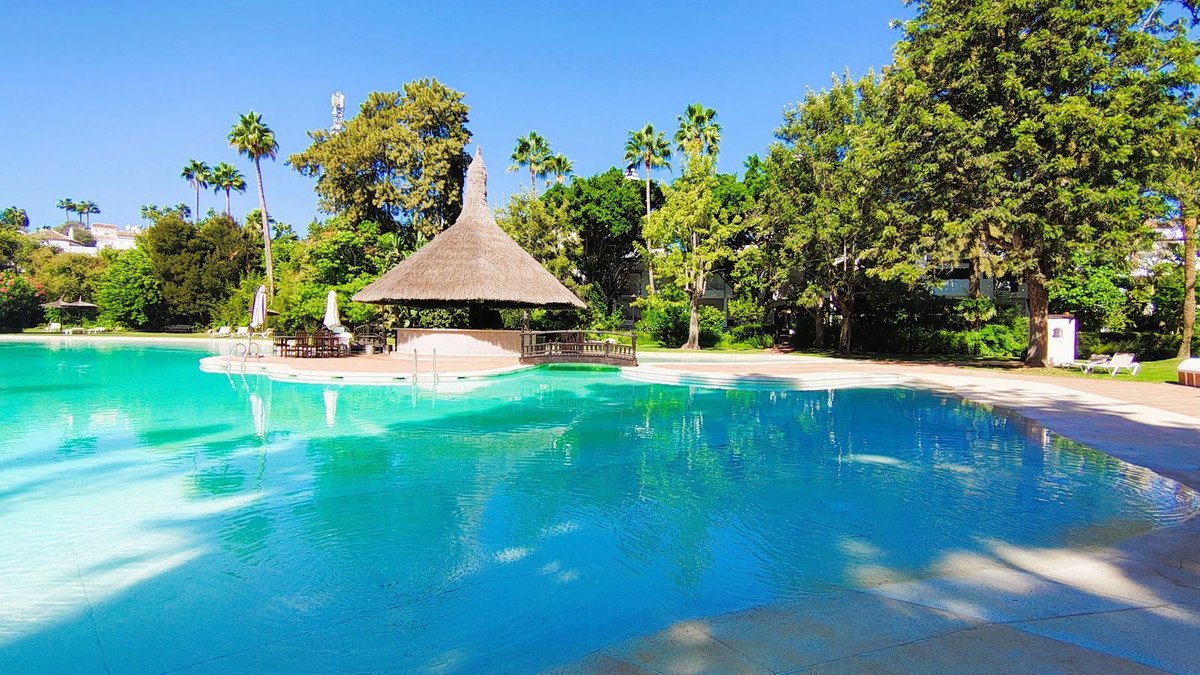 Expansive turquoise swimming pool with a thatched cabana, sun loungers, and lush palm trees under a clear blue sky.