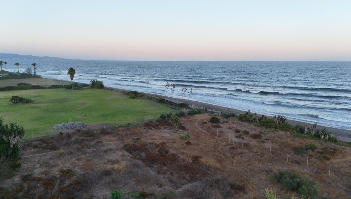 A view of the ocean with waves rolling onto a sandy beach, bordered by grassy areas and palm trees.