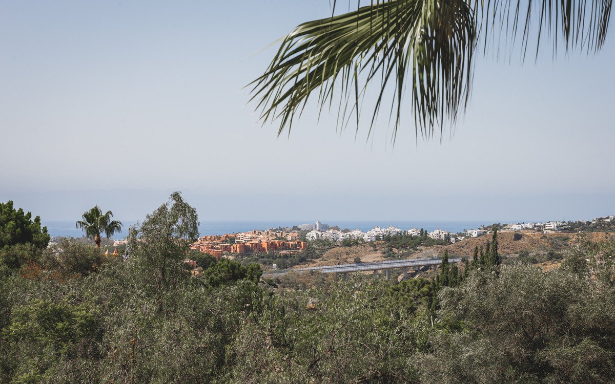 Villa with panoramic sea view, palm trees, and coastal town from hillside.