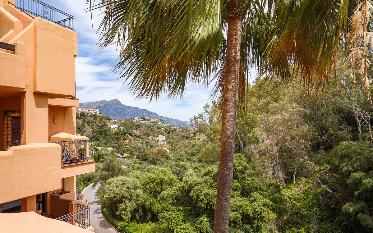 Palm tree frames a scenic view from a balcony overlooking lush green hills and distant mountains.