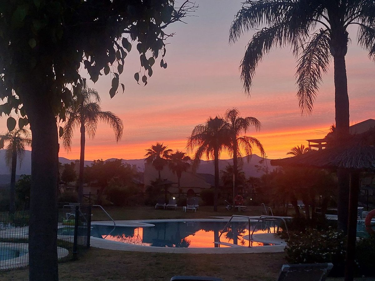 Sunset view of a swimming pool surrounded by palm trees