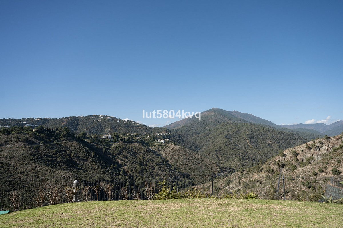 06 photo