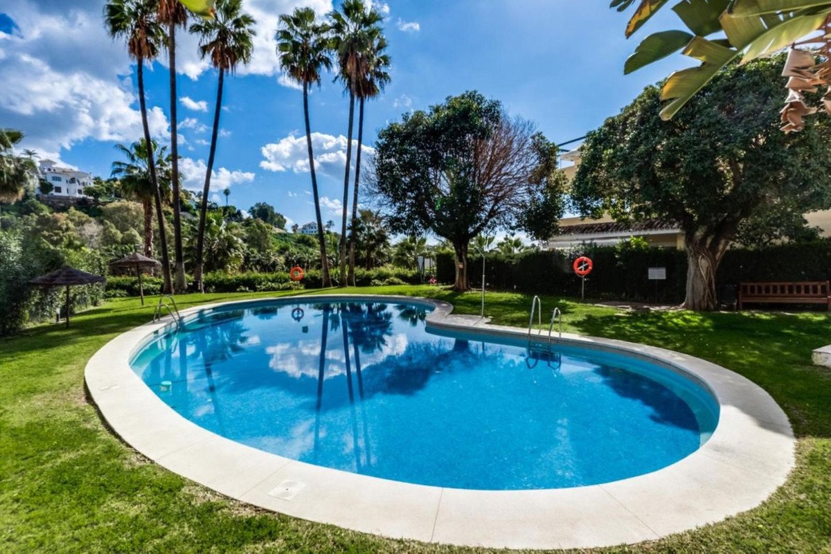 Large outdoor swimming pool surrounded by palm trees and lush greenery