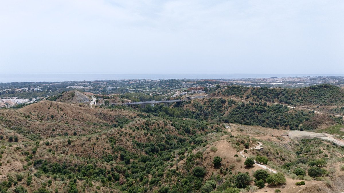 02 photo