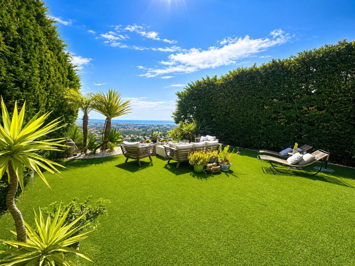 Luxurious outdoor lounge with green lawn, palm trees, and ocean view