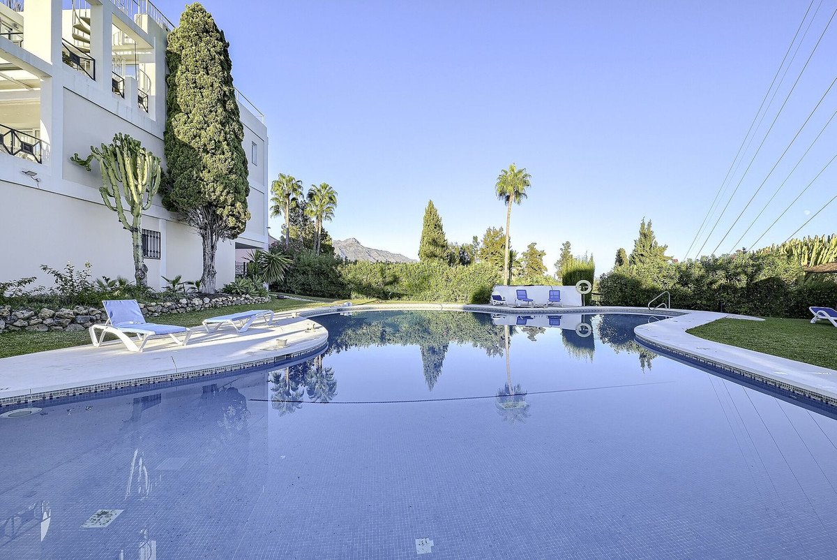A large, crystal clear swimming pool reflecting palm trees and the blue sky. Lounge chairs are placed around the pool.