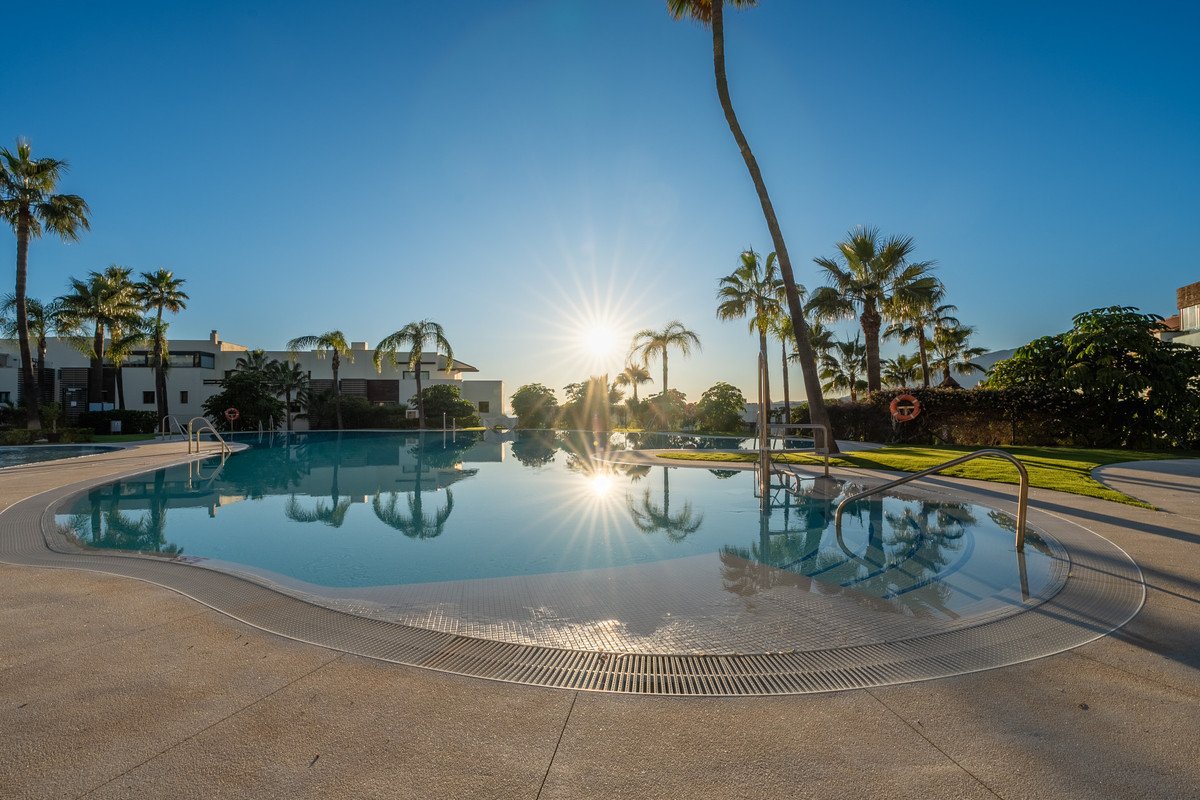 Outdoor swimming pool with palm trees and clear blue sky