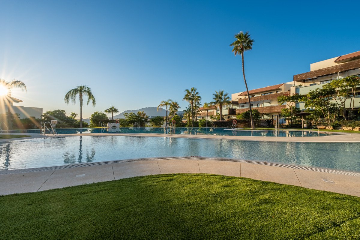Resort swimming pool with palm trees and clear blue sky