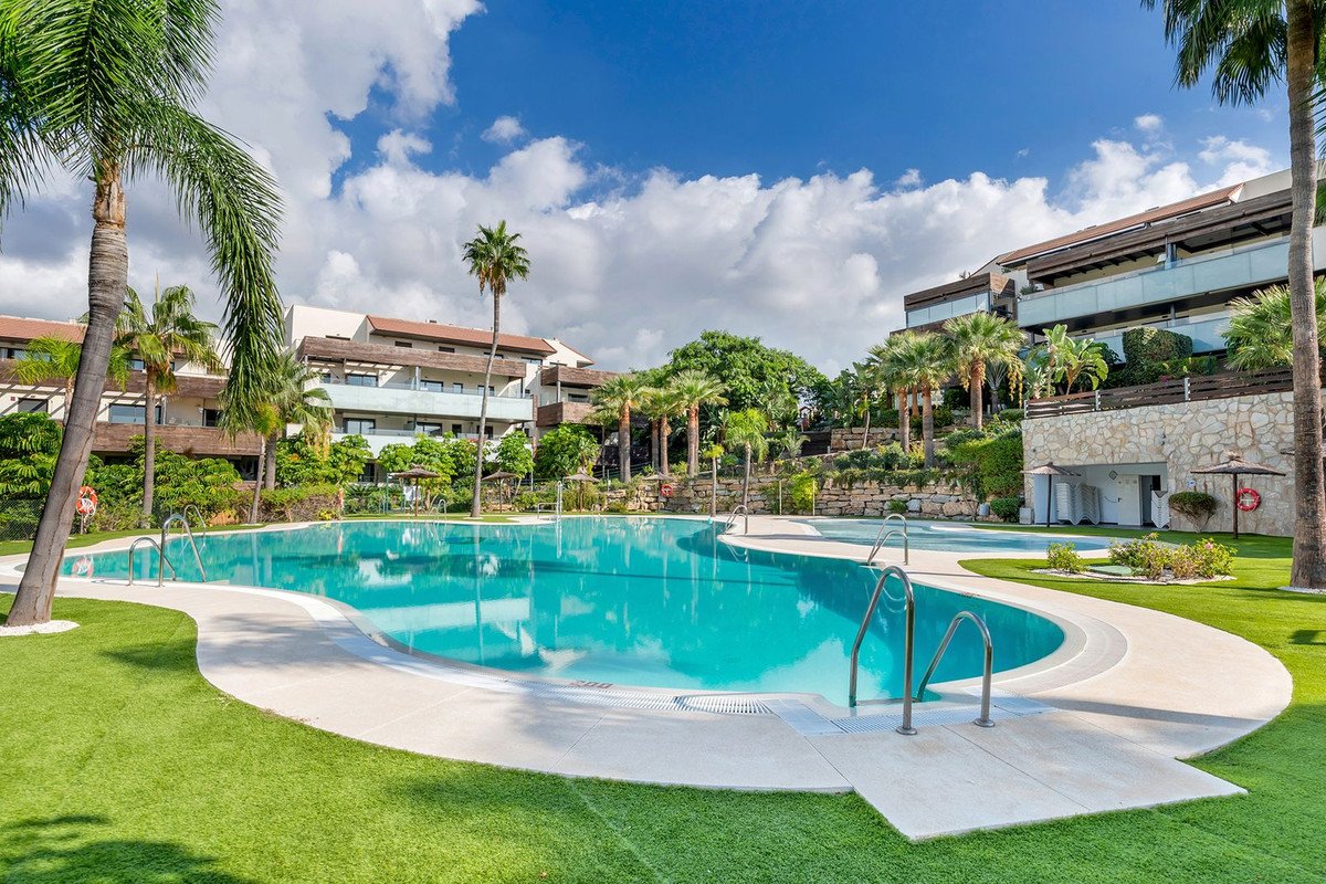 A large, turquoise swimming pool with steps and railings, surrounded by green lawn and palm trees, with apartment buildings in the background under a blue sky.