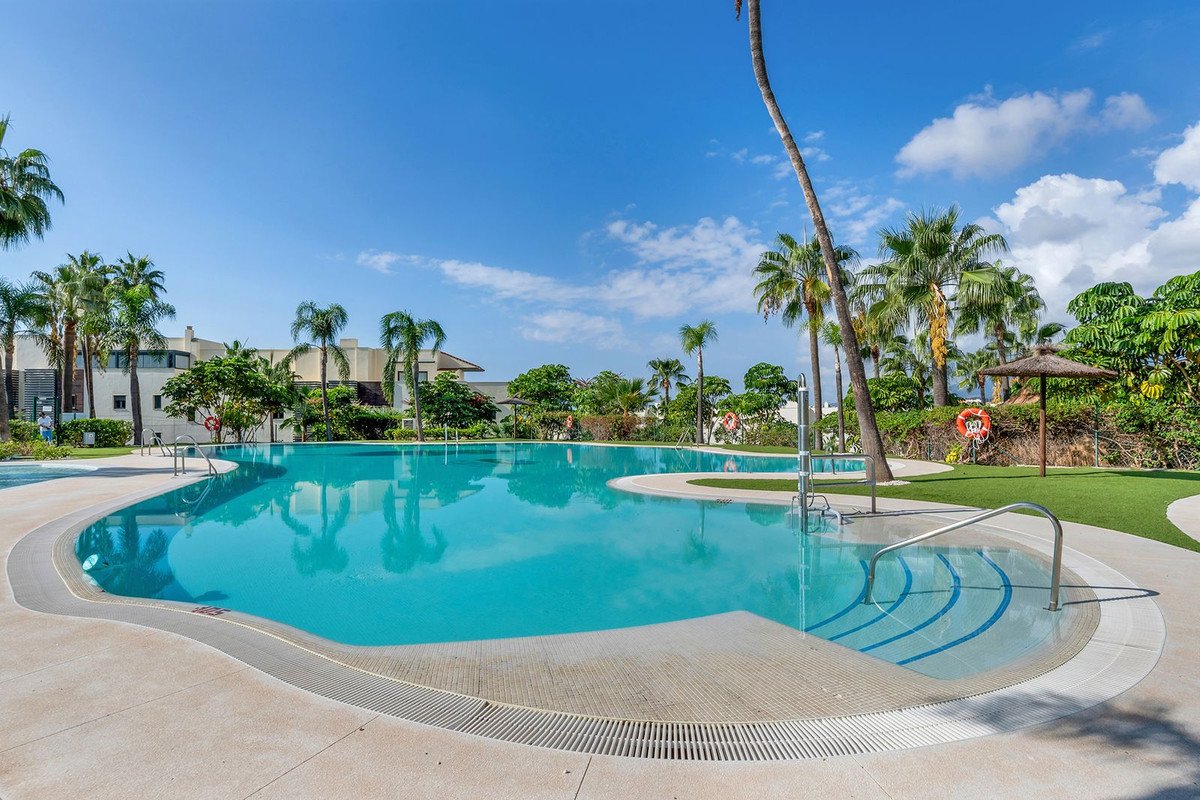 A large, turquoise swimming pool surrounded by palm trees and lush greenery, with buildings in the background.