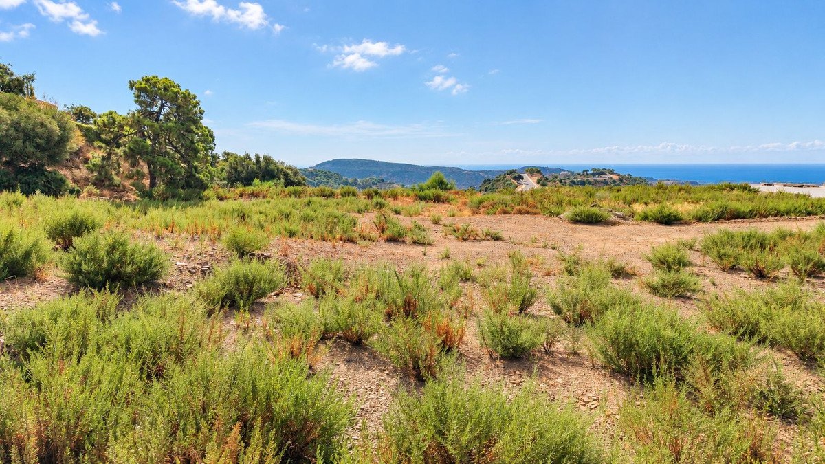 Expansive view of the sea and hills from a plot of undeveloped land covered in green bushes and dry earth.