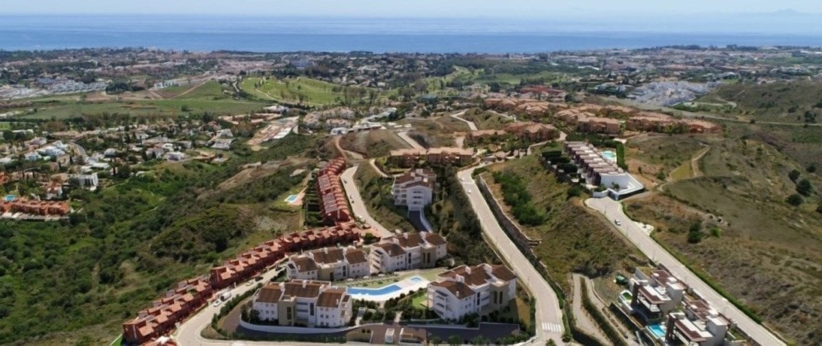 22 photo