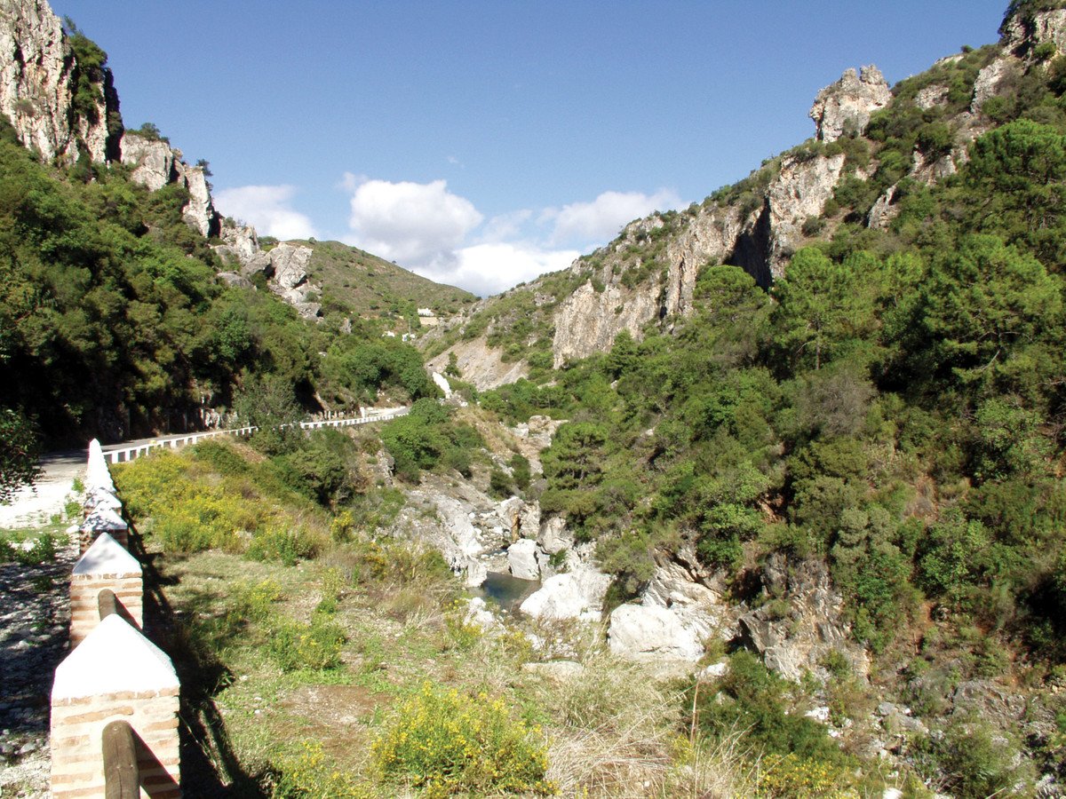 22 photo