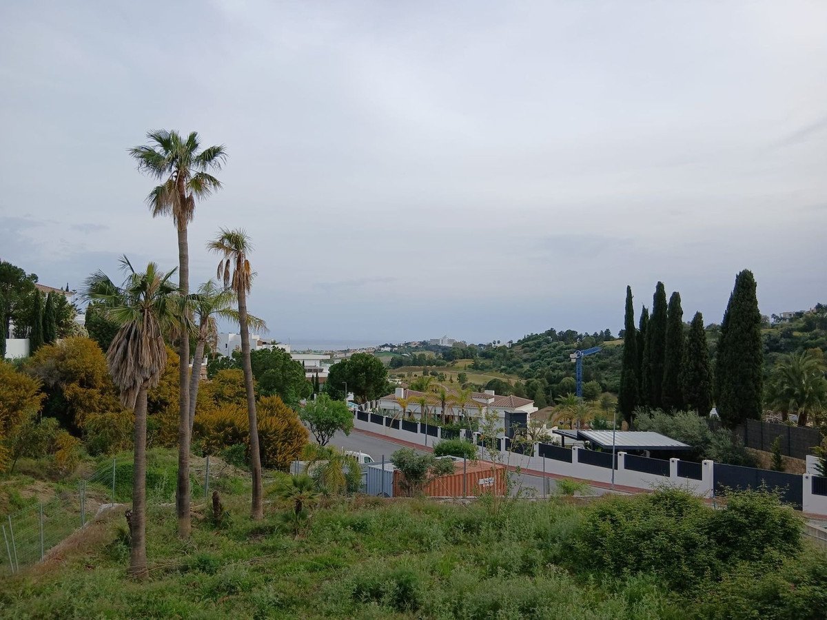 23 photo