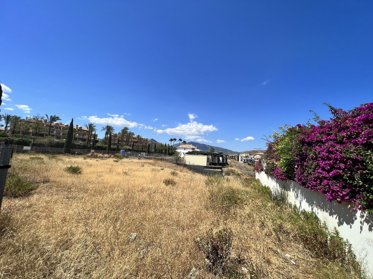 08 photo
