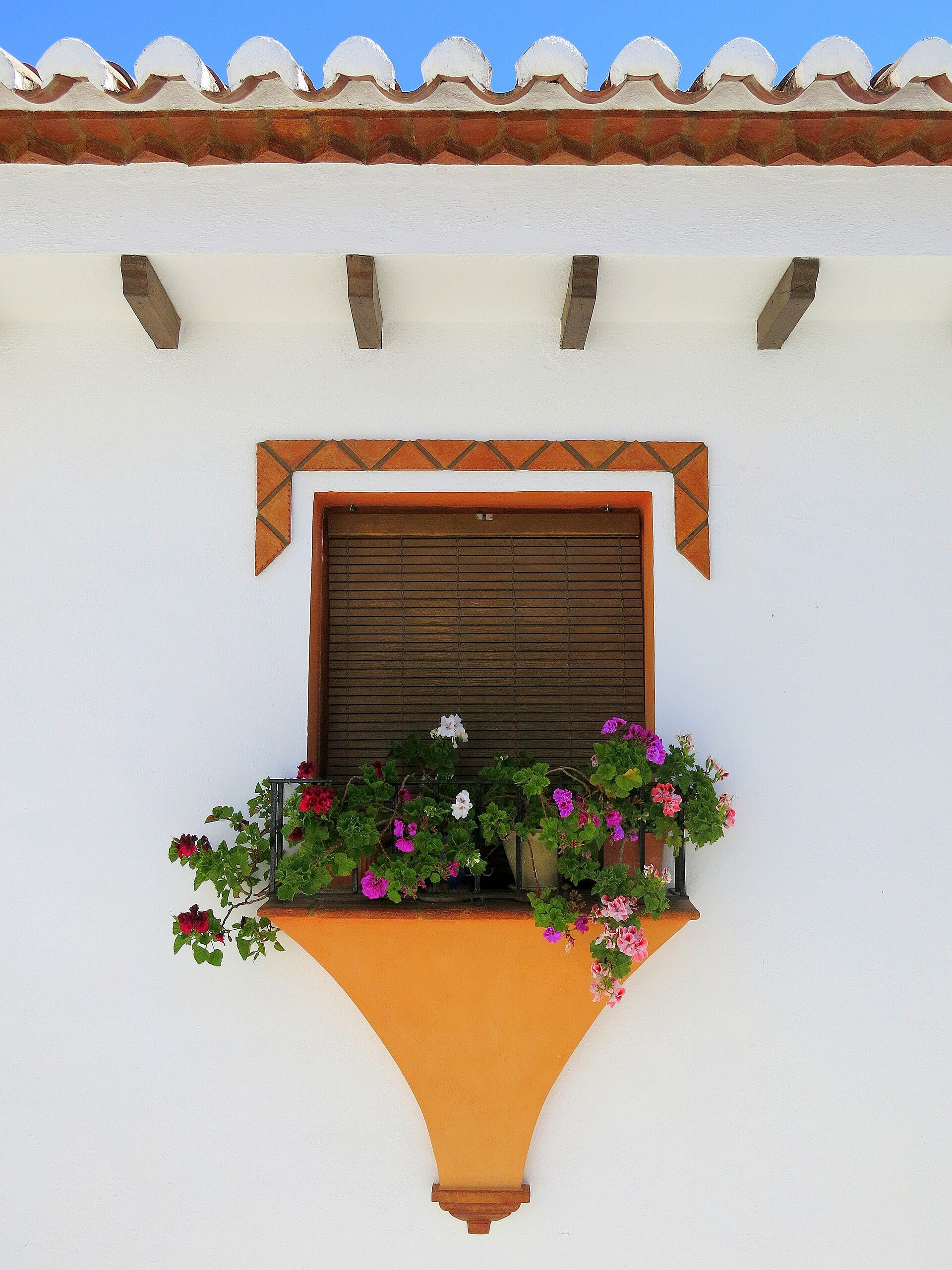 Finca's in Benalauria