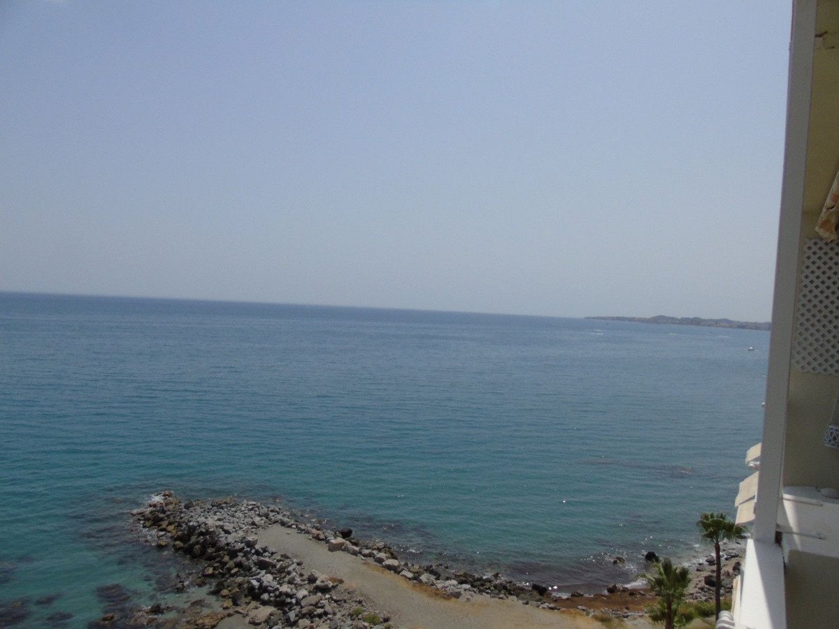06 photo