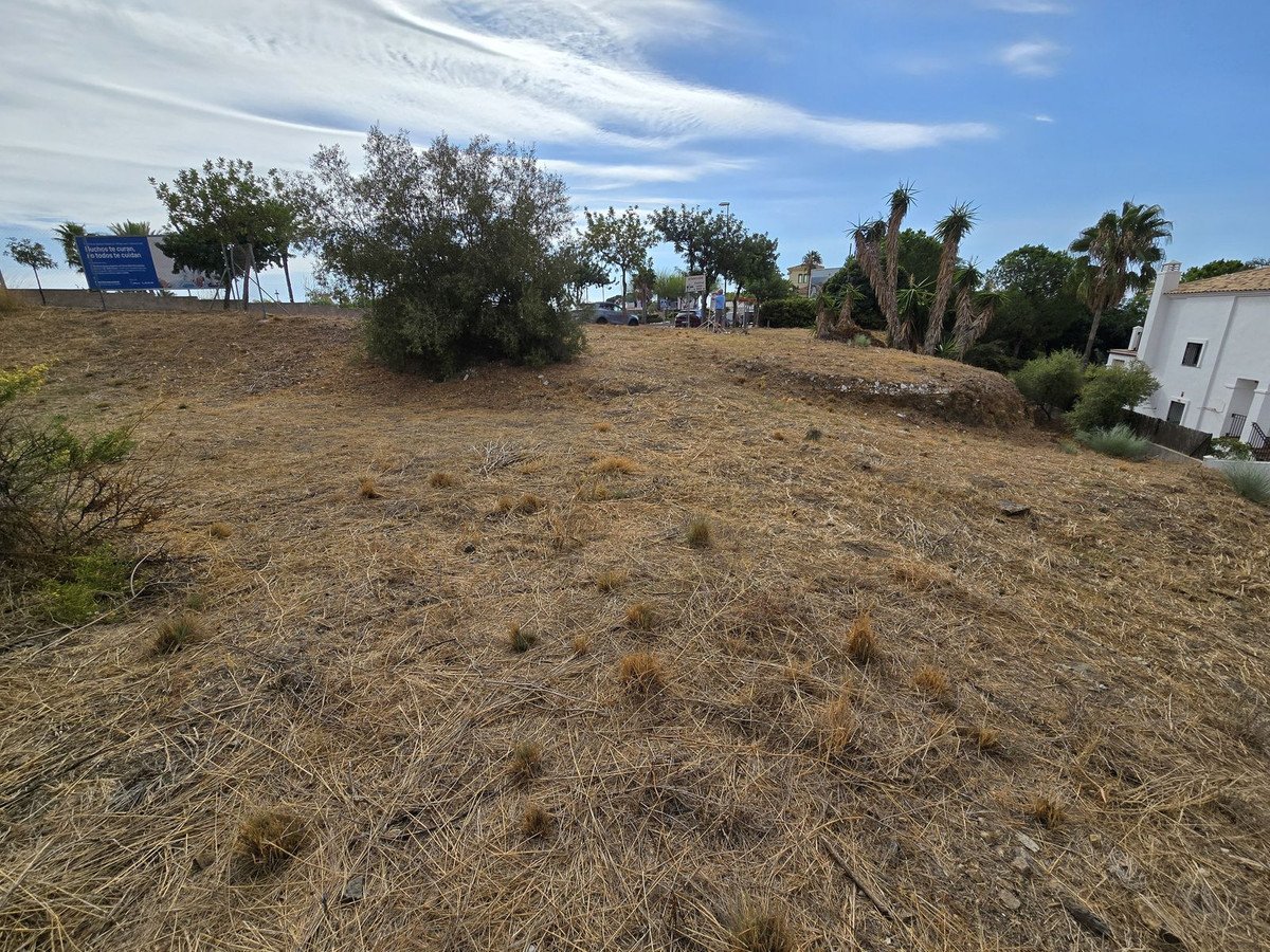 05 photo
