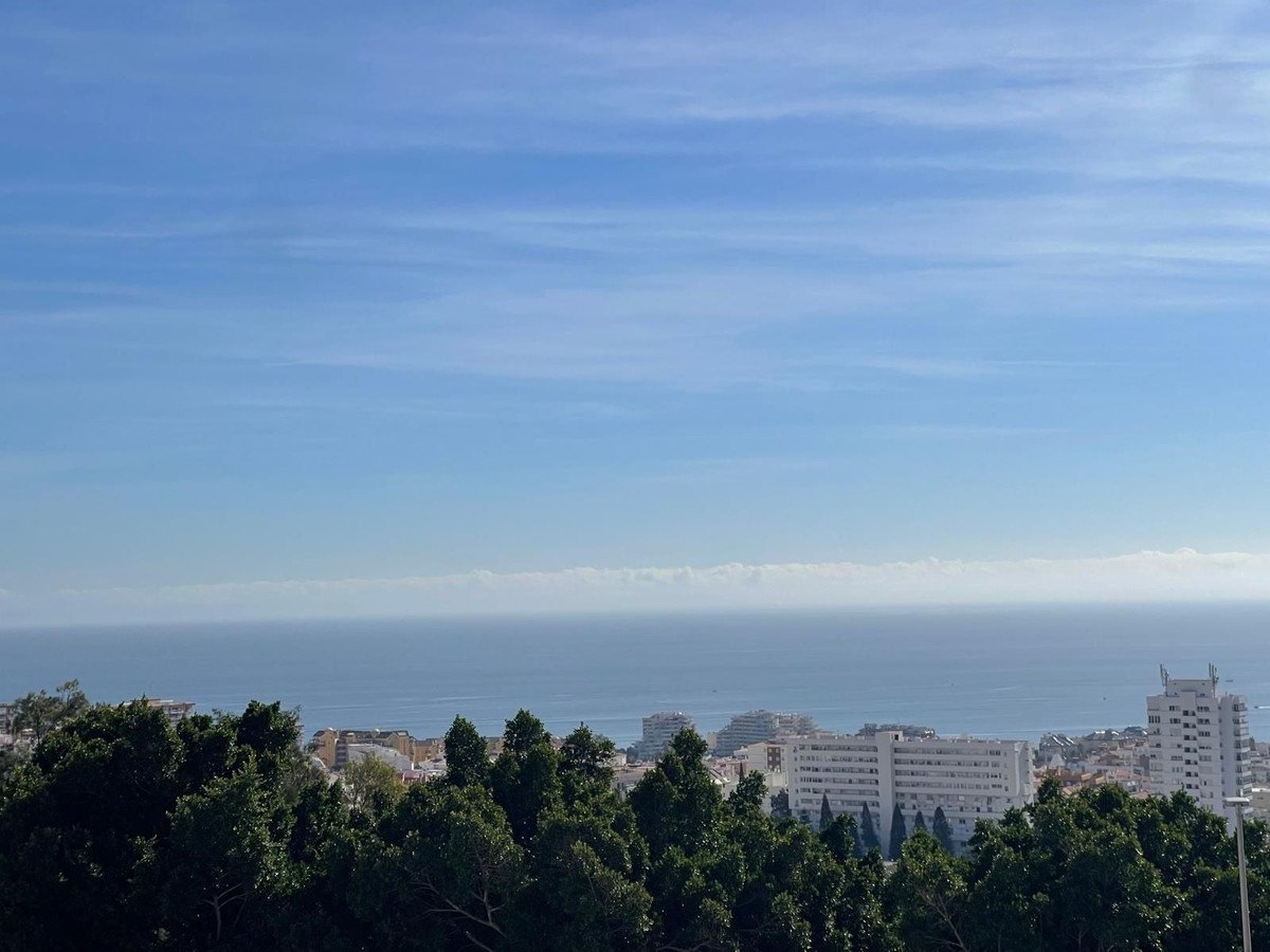 View of the sea and city skyline through lush green trees under a blue sky.