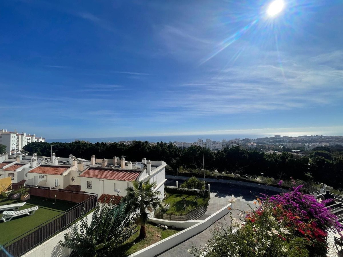 A scenic view of the sea and town from a terrace with lush greenery and vibrant flowers.