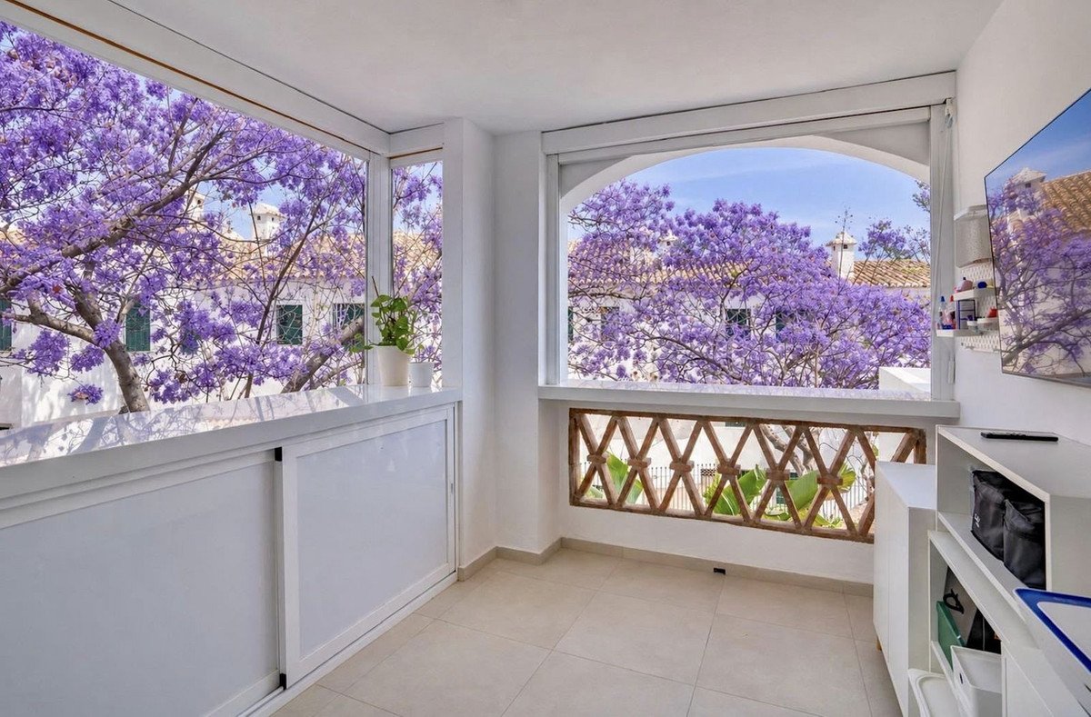 Sunlit balcony with a view of blooming jacaranda trees and traditional white buildings.