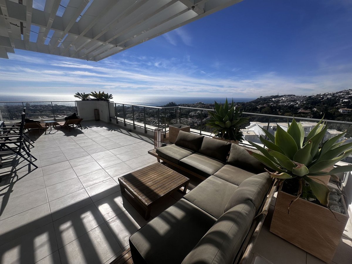 03 photo