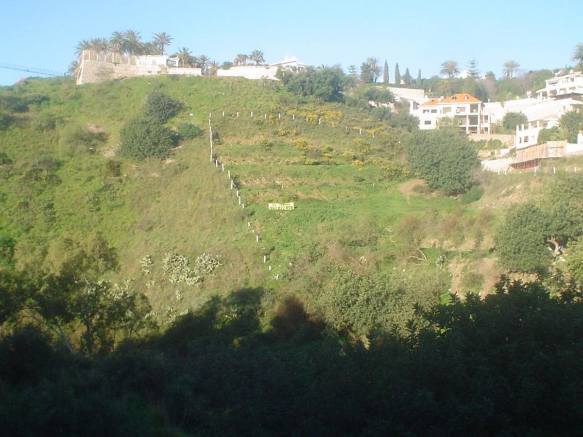 03 photo