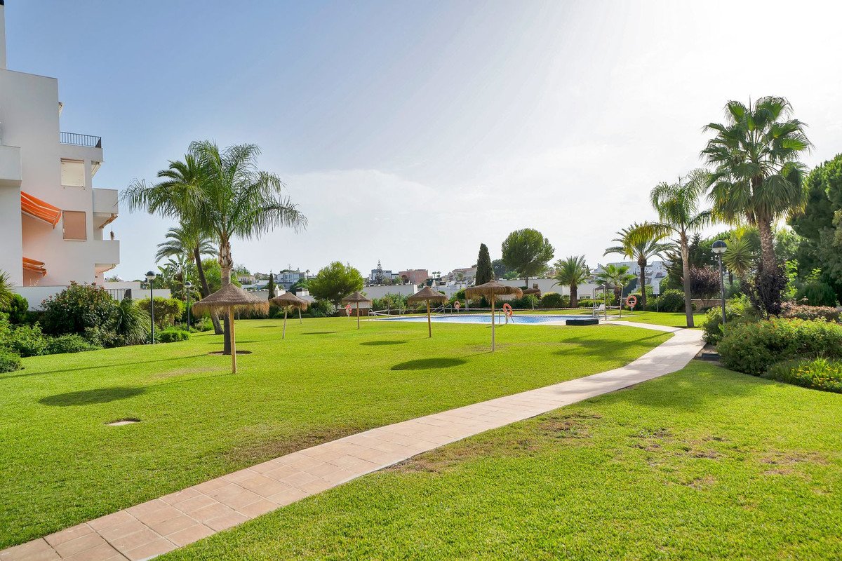 A paved pathway winds through a manicured lawn with palm trees, thatched umbrellas, and a swimming pool in the background.