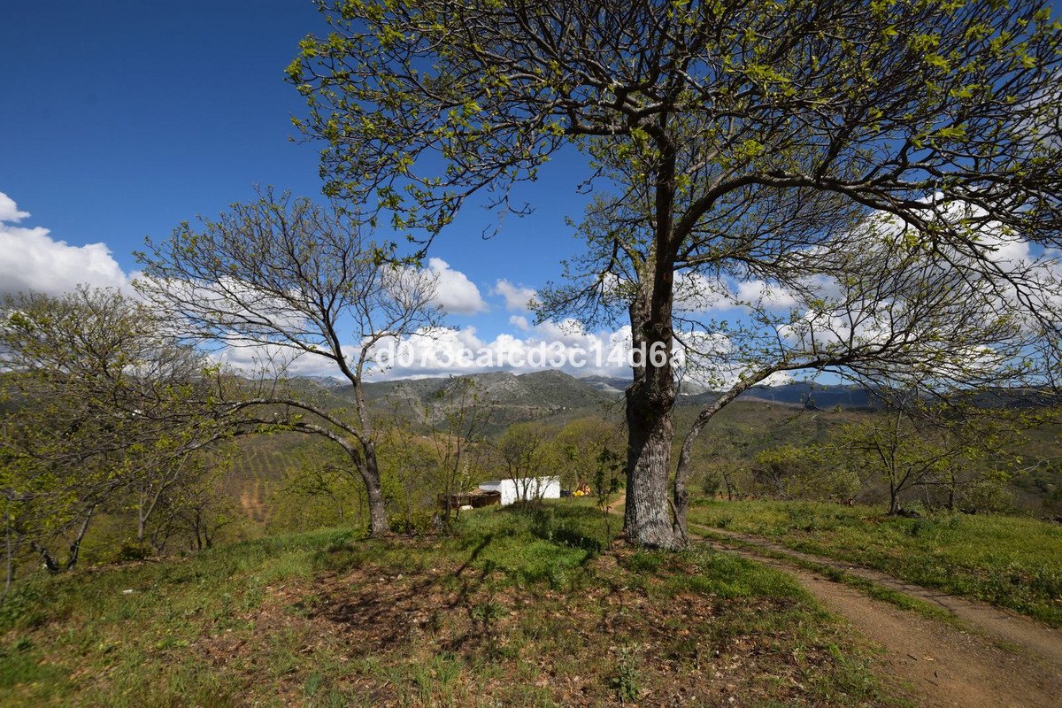 2 Bed Finca - Cortijo in Cartajima in Cartajima, Finca - Cortijo