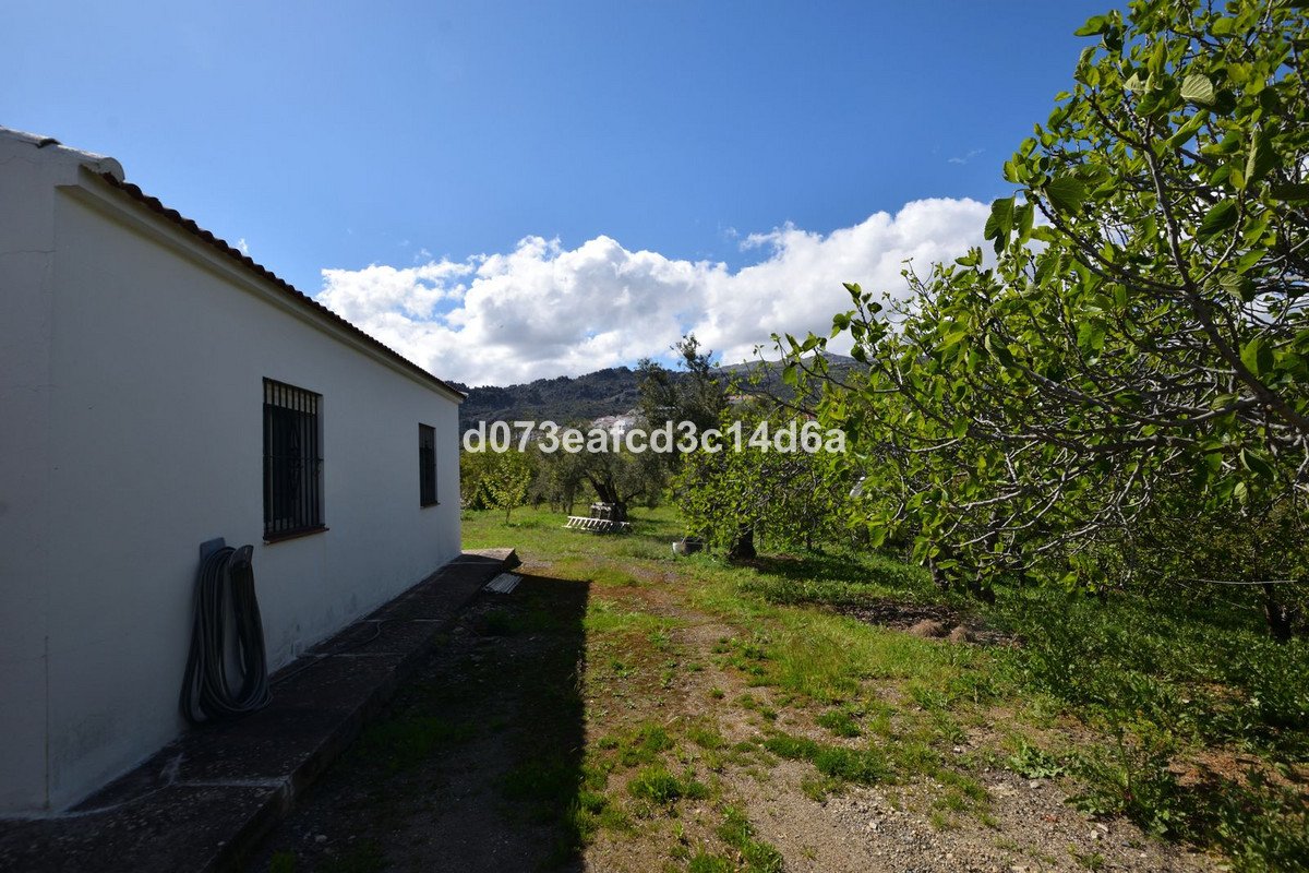 04 photo