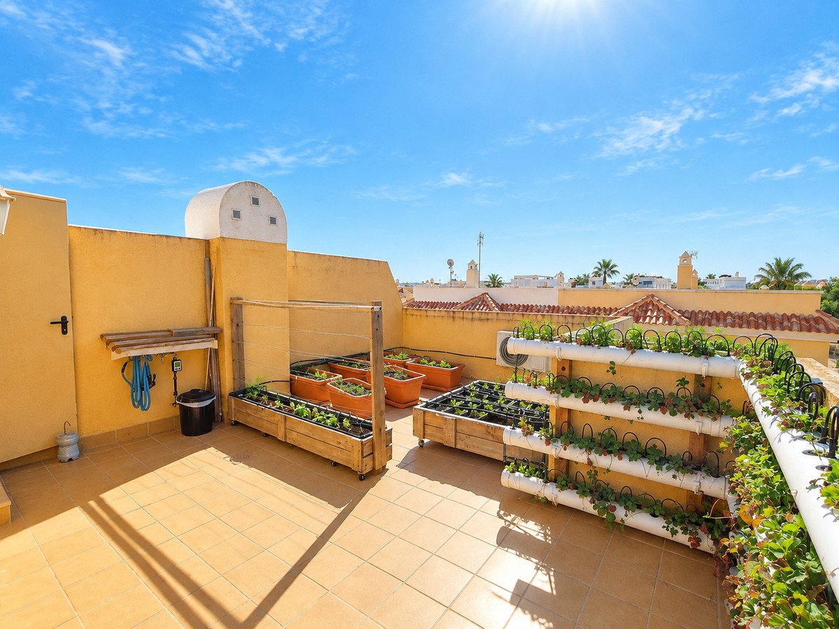 Sunny terrace with hydroponic garden systems growing strawberries and vegetables, offering an outdoor living space.