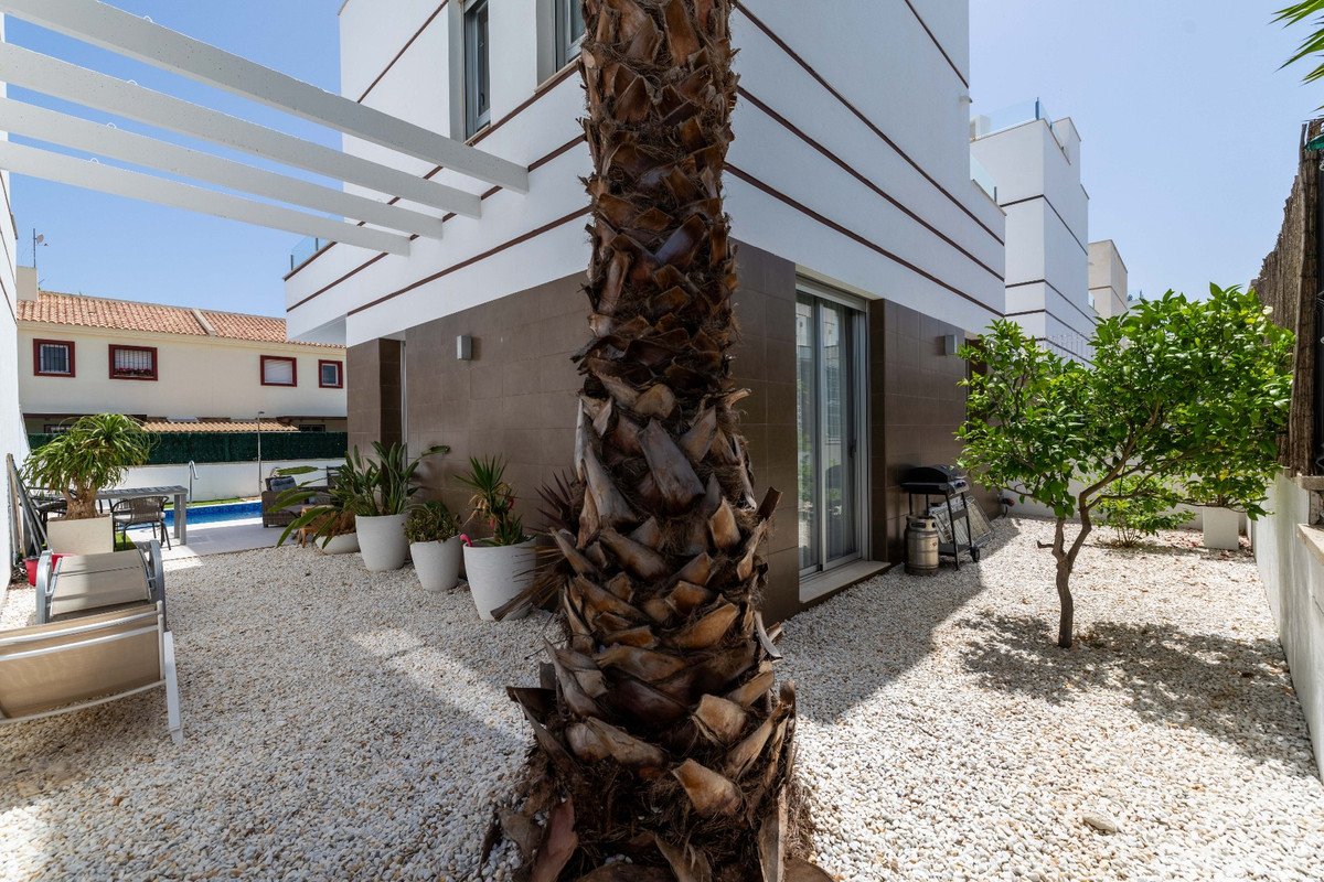 Modern patio with palm tree and swimming pool in sunny outdoor area