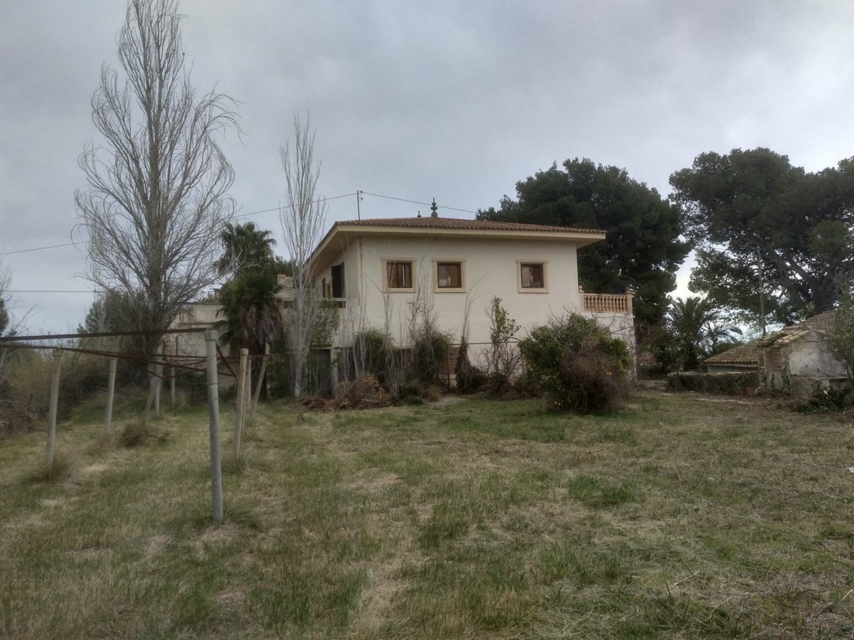 08 photo