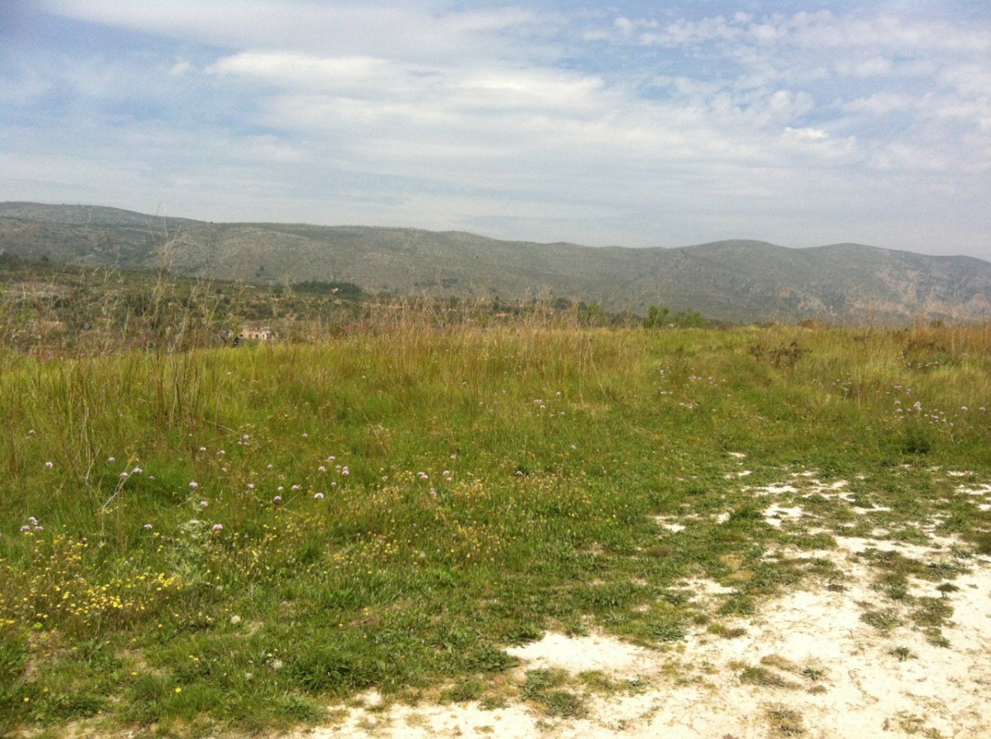 02 photo