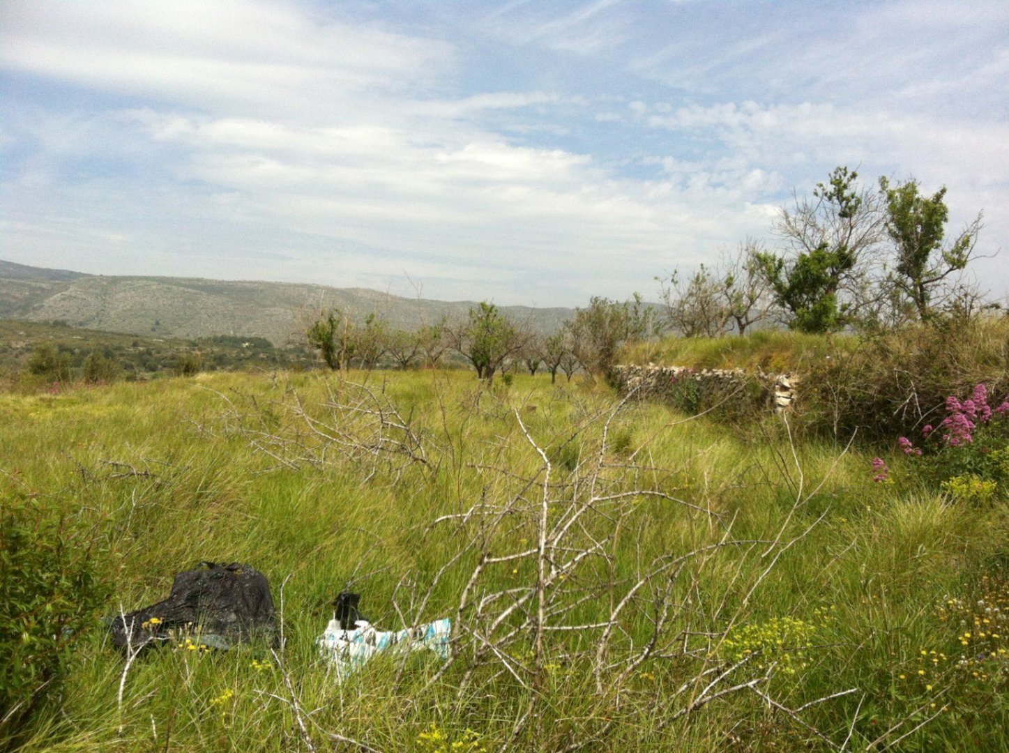 04 photo