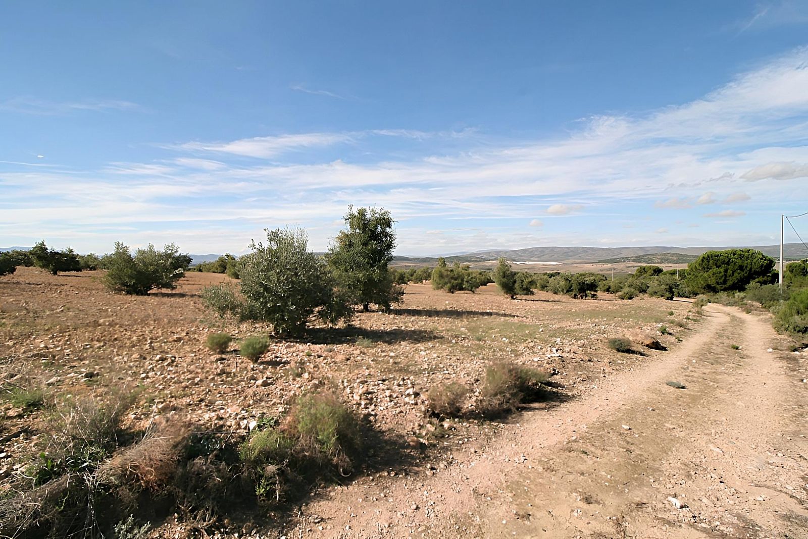 03 photo