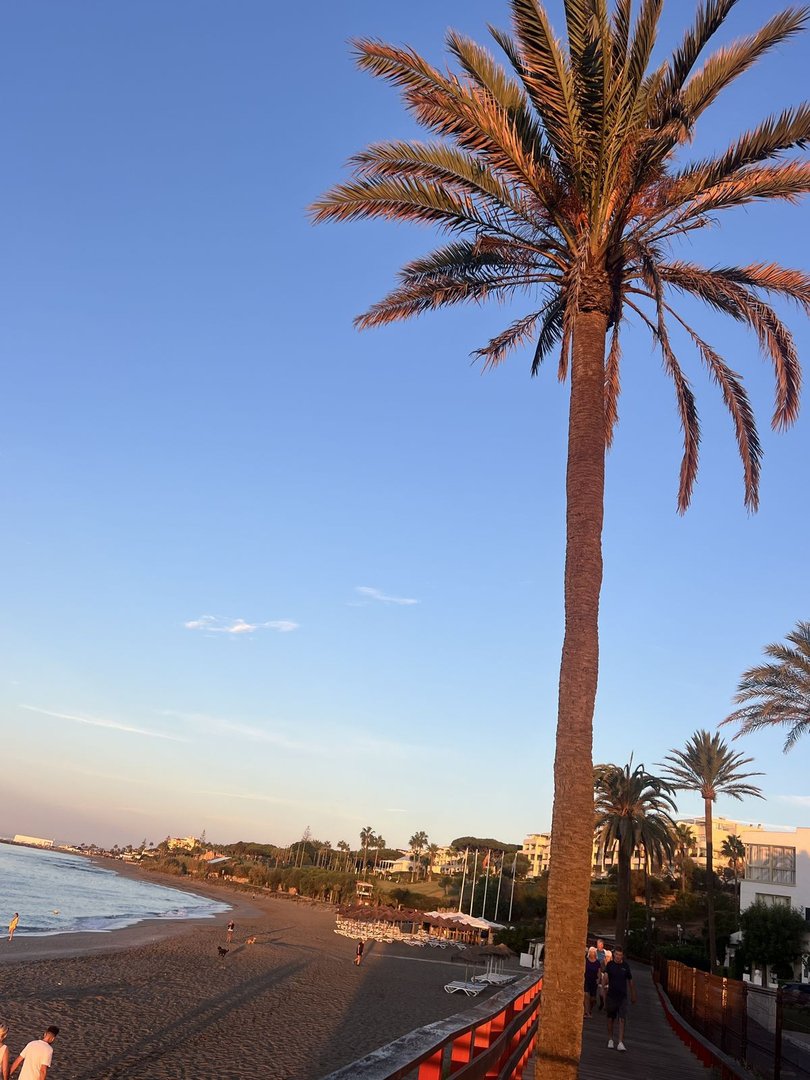 2 Bed Ground Floor Apartment in Calahonda i Calahonda — Lejlighed