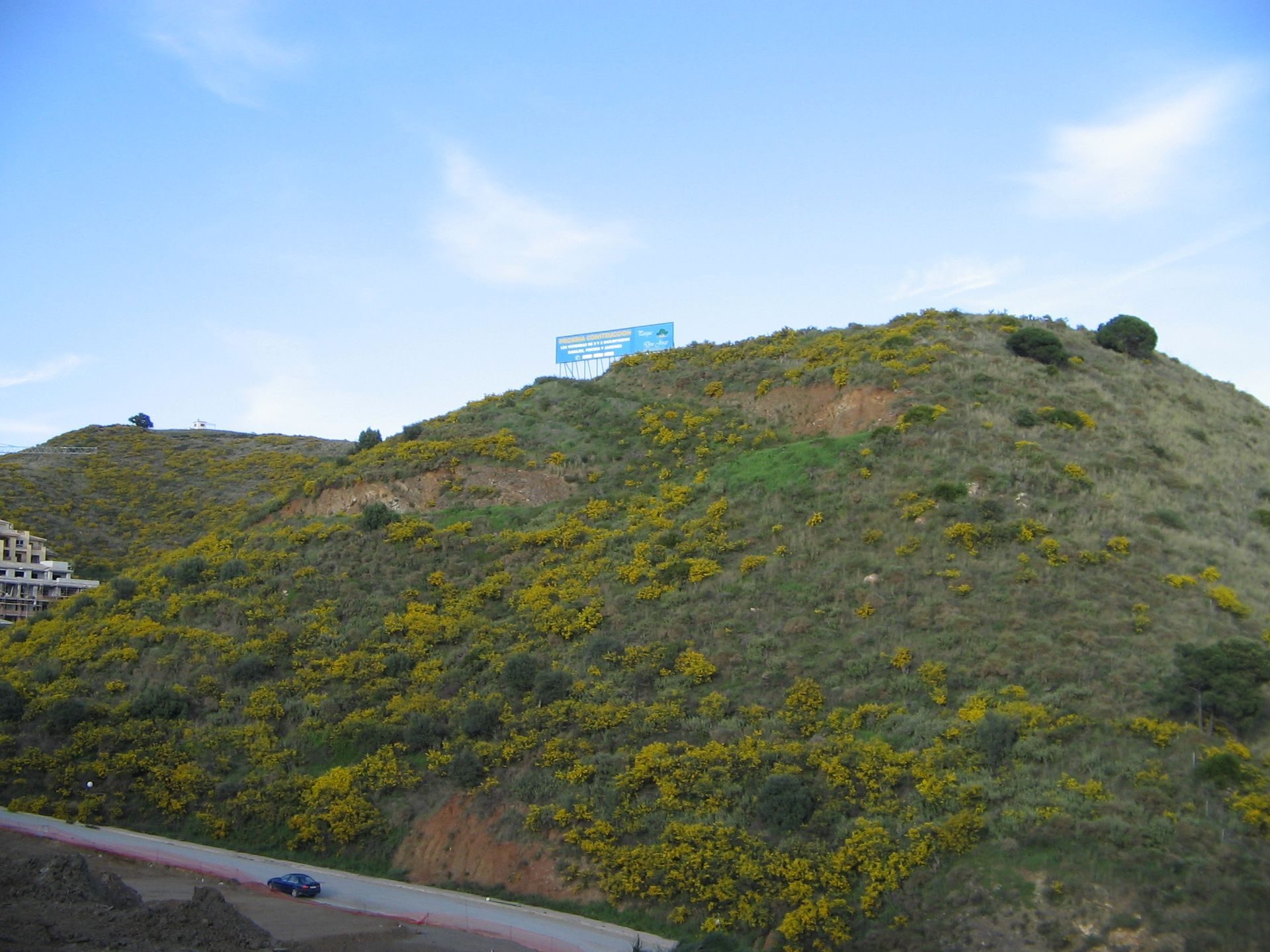 Penthouses in Calahonda