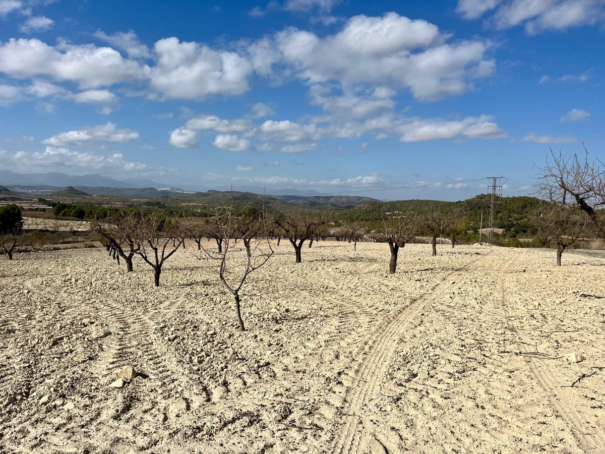 Land in Bullas in Bullas, Land