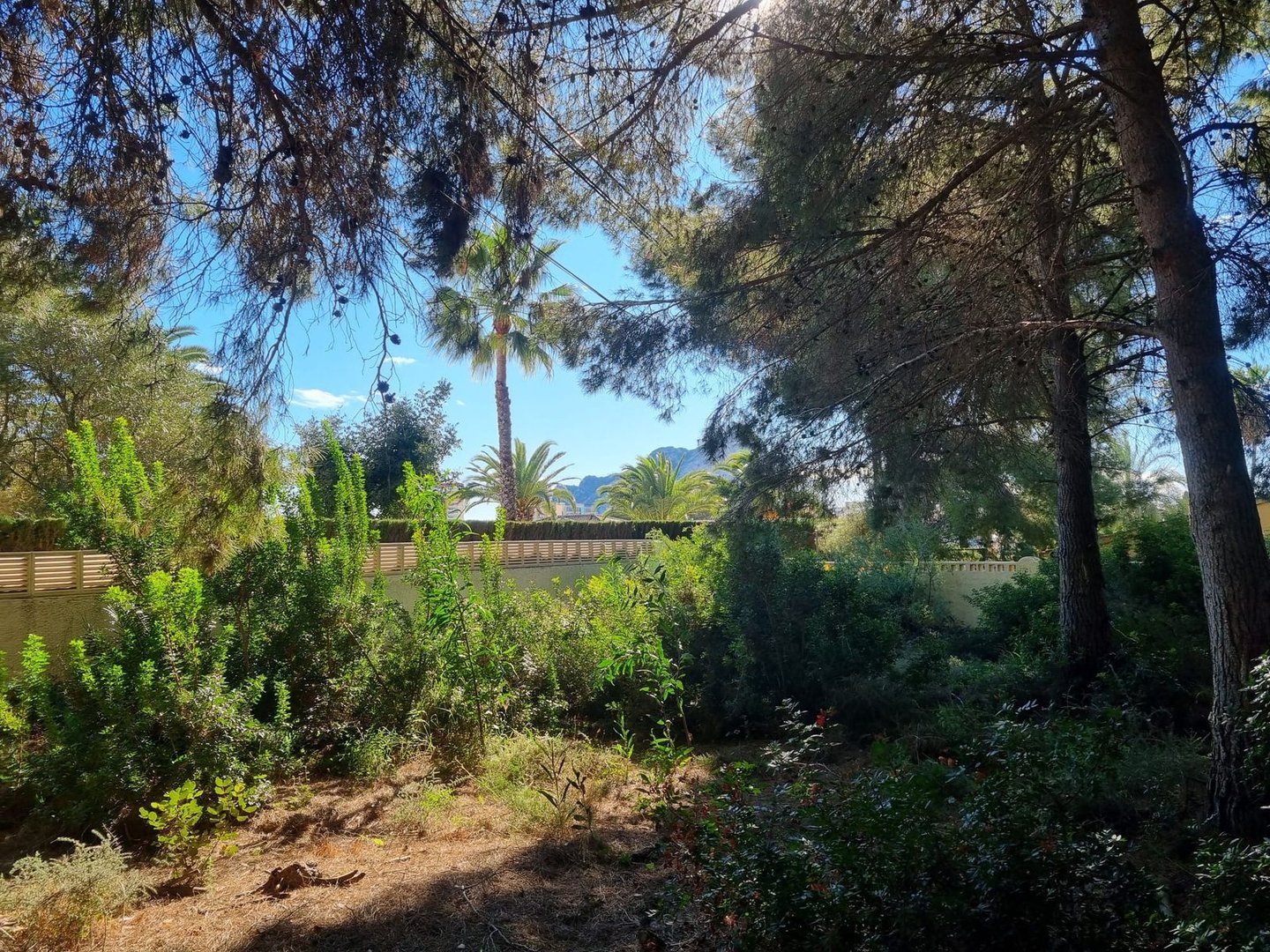 Land in Calpe in Calpe, Land