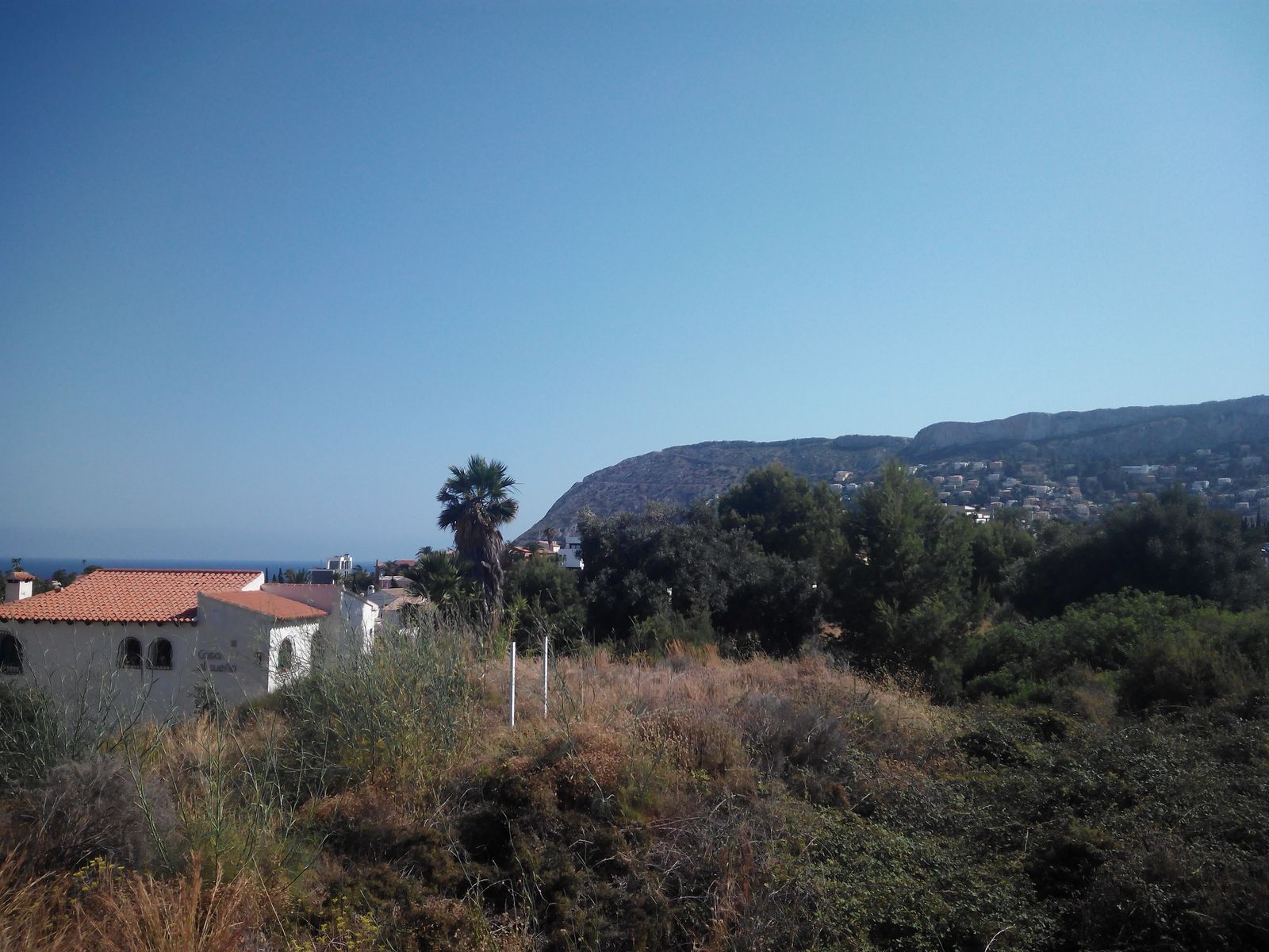 02 photo