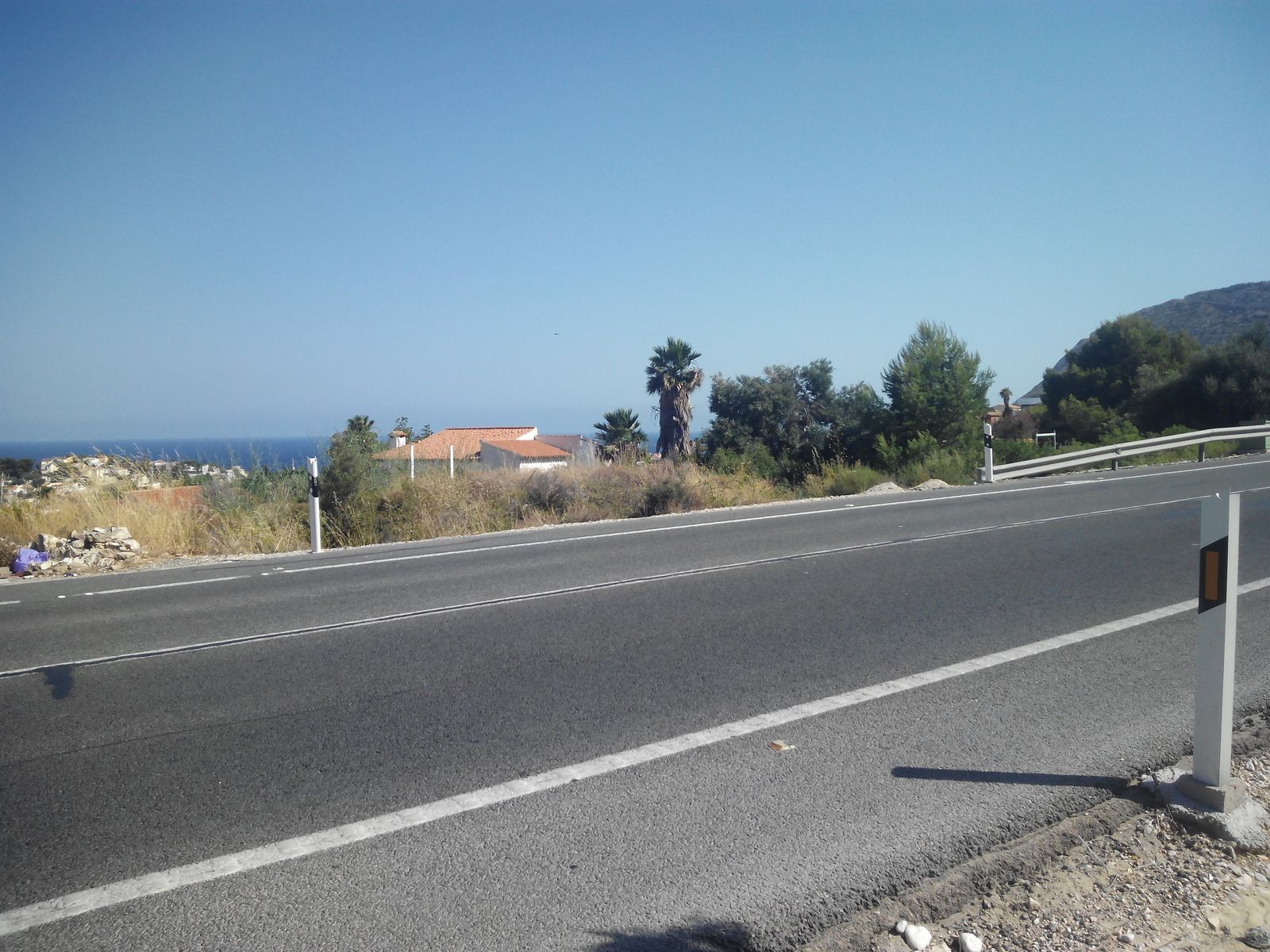 06 photo
